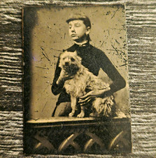 Antique Gem Tintype Woman Holding Dog – Rare Victorian Pet Photo – 1 x 1.5 picture