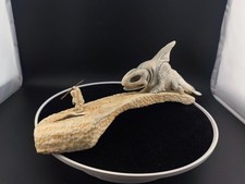 Inuit Inspired Folk Art Composition, Orca Shaman and Fisherman, Arctic Scene picture