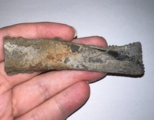 Super Rare Fossil EDESTUS SHARK TOOTH 3.55 INCHES Pre Dinosaur Era NO REPAIR picture