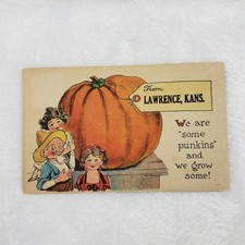 1914 Lawrence Kansas Comic Postcard Halloween Pumpkin Thanksgiving TP&Co NY 980 picture