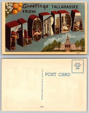Tallahassee Florida Large Letter Greetings Postcard picture