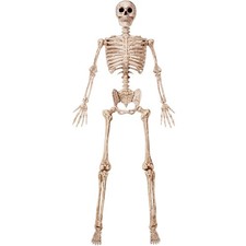 6.9 FT Life Size Posable Skeleton - Realistic Bones, Movable Joints, Halloween D picture
