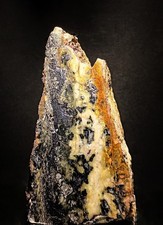 831g Koch Shaft Einstein Silver Mine MO  3 Ores 12+ Minerals  Cox Collection picture