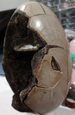 Septarian Egg Crystal Large Big 4 LBS Gemstone Chakra picture