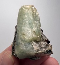 203 Carat Ultra Rare Aquamarine With Spessartine Garnet Crystals On Muscuvite picture