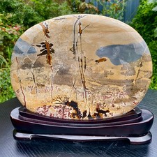 6.1LB Natural Chinese tree like limestone image, stone Guohua ball picture