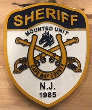 Police New Jersey Cape May Mounted 3D routed carved  patch plaque sign Custom picture