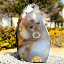 310g Top natural Marine jasper quartz crystal free form mineral specimen picture