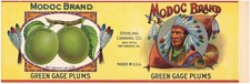 ORIGINAL C1910S VINTAGE TIN CAN LABEL MODOC GREEN PLUM NATIVE AMERICAN INDIAN B picture