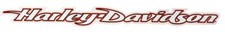 Harley-Davidson Script Cut-To-Shape Name 20