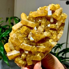 1.77LB Natural picture
