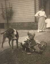 Vintage 1910’s PHOTO TODDLER broken pull toy horse DOG Mom sister cleveland OHIO picture