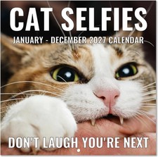 2027 Funny Cats Wall Calendar 12x24