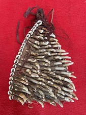 PNG Headhunter Vintage Dog Teeth On Tree Bark Hunter Medicine Amulet picture