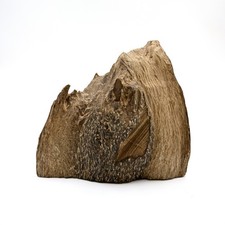 Collective Wild Natural Malaysia Aquilaria Agarwood Wood Stumb 西马野生重油结香老板头沉香蓬莱香 picture