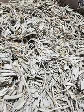 California White SAGE Smudge Loose Cluster Incense Bulk (1 pound) NEW picture