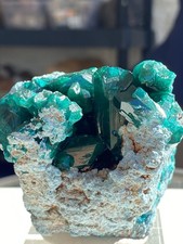 346.5 Gram Large Dioptase & Shattuckite Specimen On Display Stand, DRC picture