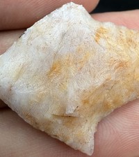 Killer Marion Arrowhead Out Of Florida 1.37” Authentic Artifact  picture