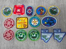 Vintage 1970s BSA Naskapi Patch Lot Tall Pine Council Flint Michigan Boy Scouts picture