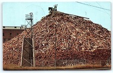 1962 Bucksport Maine Log Pile St. Regis Mill Postcard picture