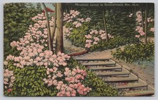Vintage Linen Postcard Mountain Laurel Pennsylvania Mts Path PA-12 Postmarked picture