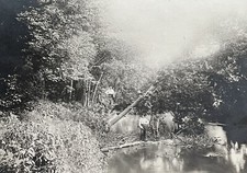 1908 Goose River Scene, Hillsboro, Traill Co, ND Posted Real Photo Postcard RPPC picture