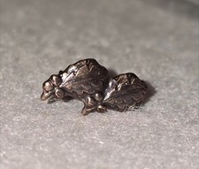 Double Bronze Oak Leaf Cluster Ribbon Attachment picture