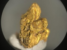 Crystalline Gold Specimen - 0.6457 grams - 16 to 1 Mine, Alleghany, California picture