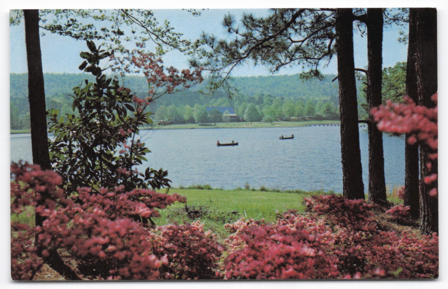 Vintage Callaway Gardens GA Mirro-Krome Postcard Mountain Creek Lake Azaleas