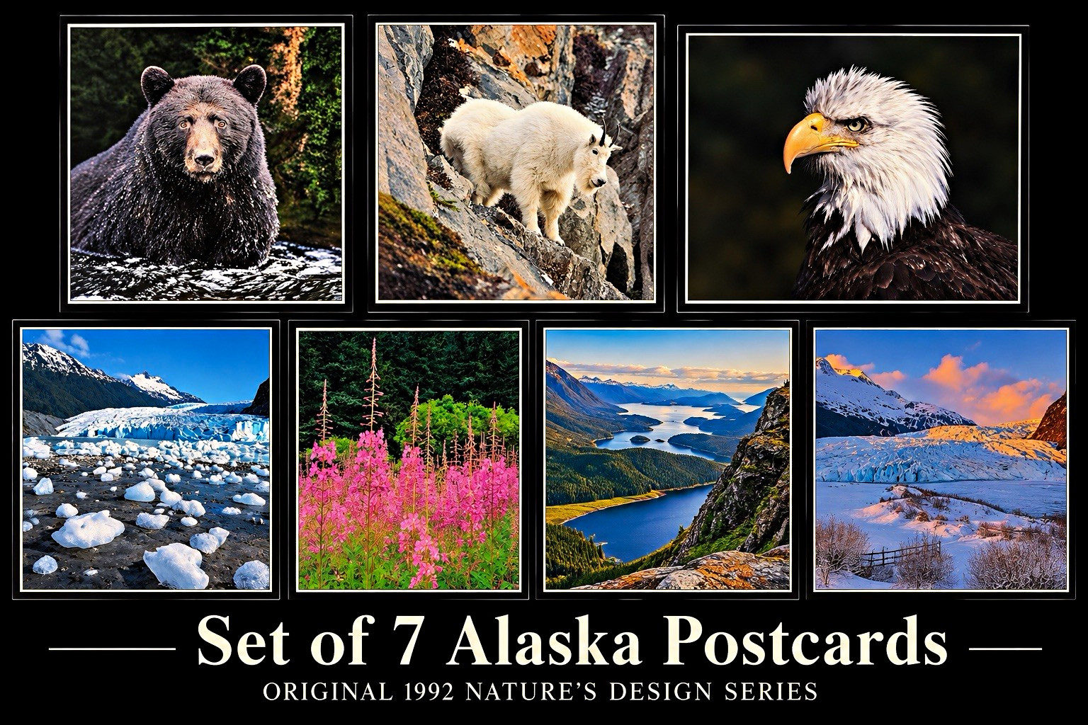 Vintage 1992 Alaska Nature Postcards Lot of 7 NOS Wildlife Glacier Scenic Views