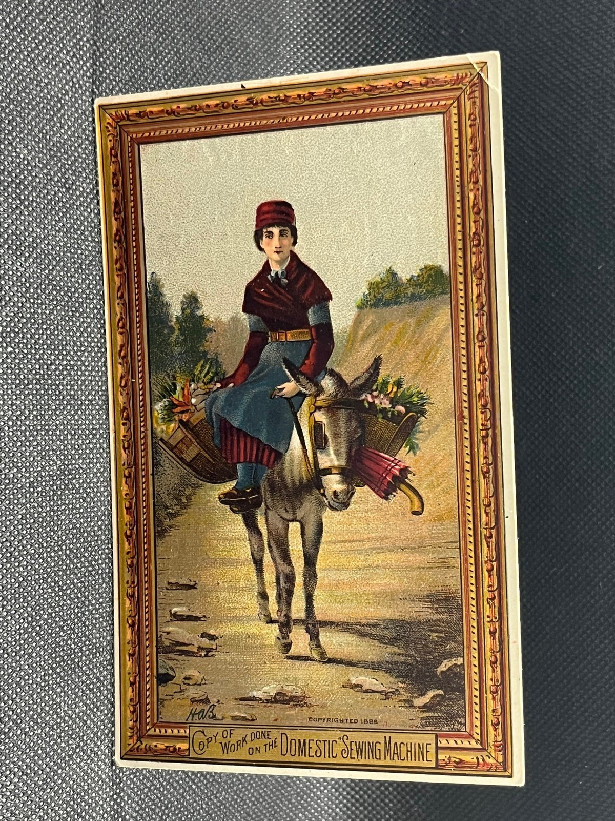TRADE CARD DOMESTIC SEWING MACHINE CO.