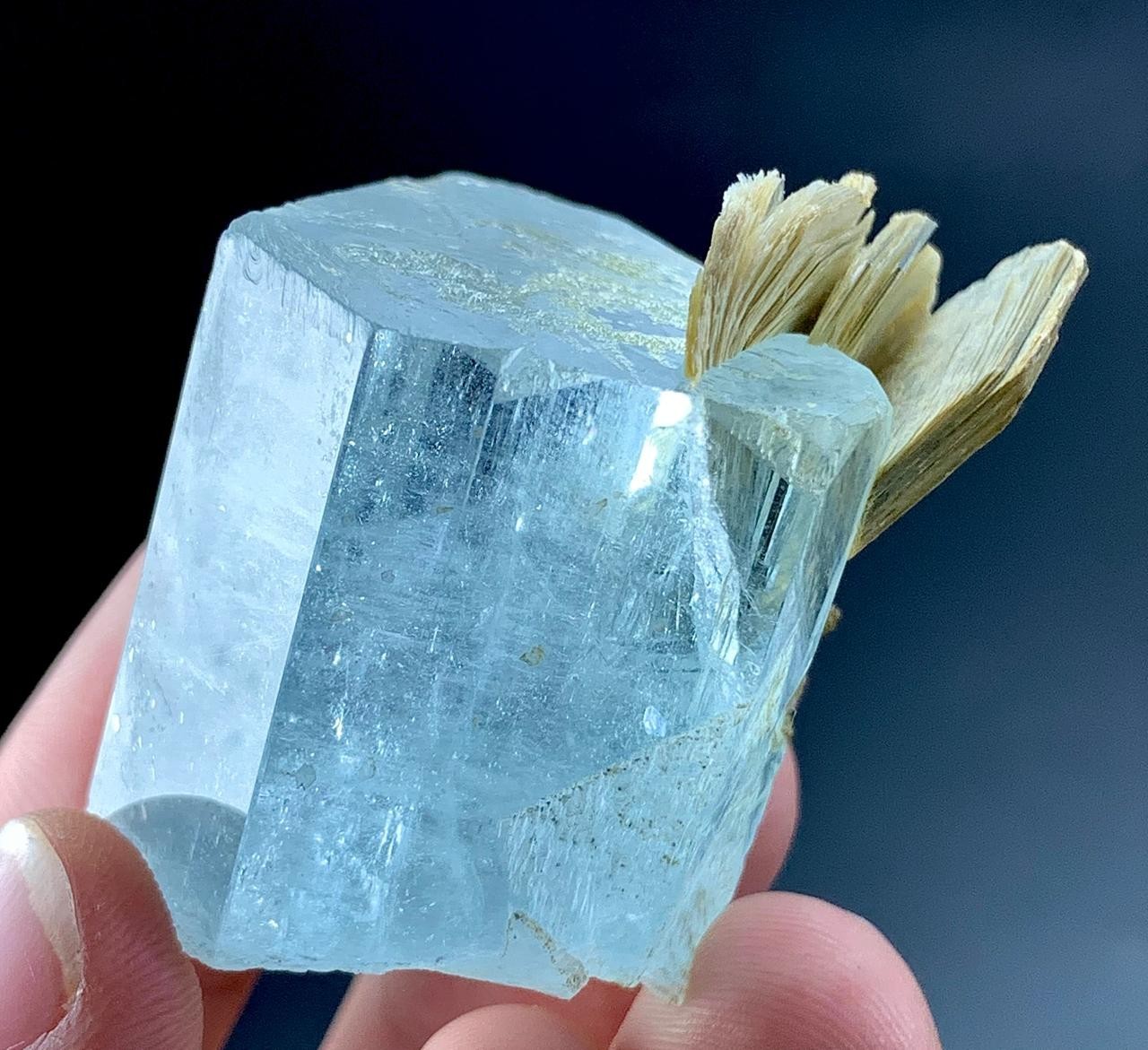 278 Carat Aquamarine Crystal Specimen From Pakistan 