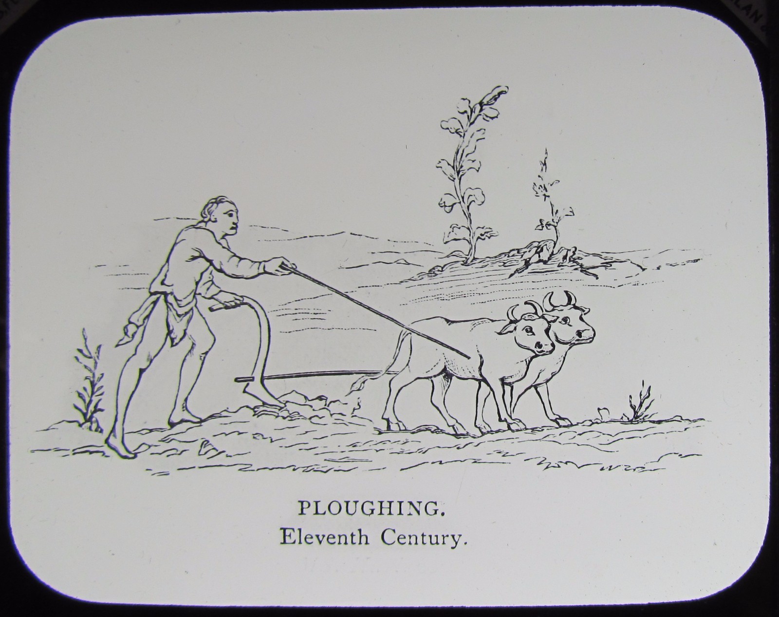 Glass Magic Lantern Slide 11TH CENTURY PLOUGHING C1890 DRAWING MEDIEVAL FARMER 