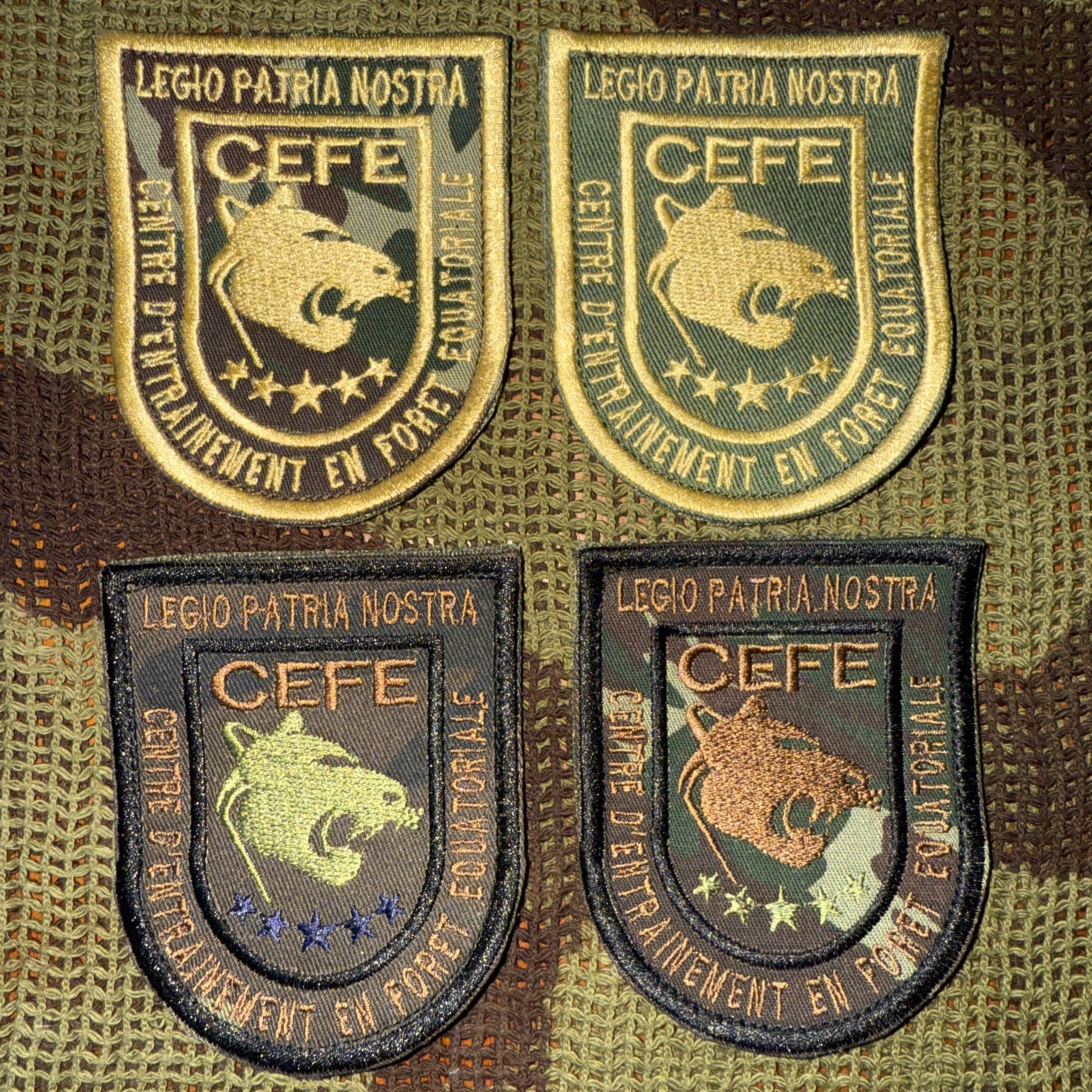 France French Army Jungle Warfare Center 4 Variant +Camo Background Patch Set