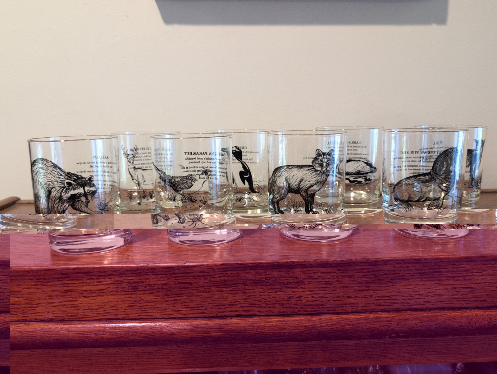 Set of 8  Vintage North American Wildlife Bird Glasses, Whiskey Tumblers