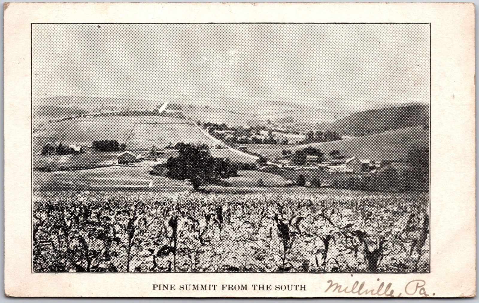 Millville Pennsylvania PA, 1908 Pine Summit From South, Farms, Vintage Postcard