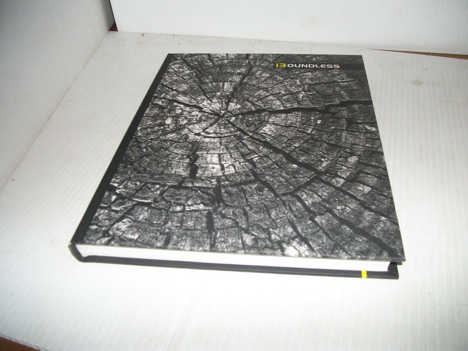 Riverdale Country School Yearbook 2013 (FC25-T-JV707)
