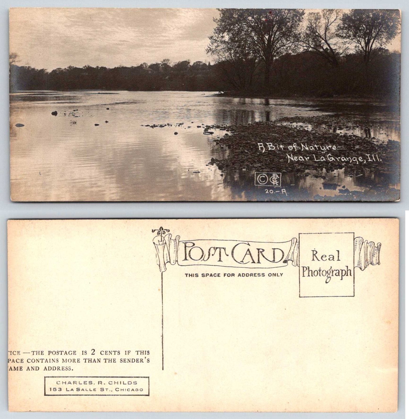 La Grange Illinois A Bit of Nature Pond Trees C R Childs RPPC Postcard BB102