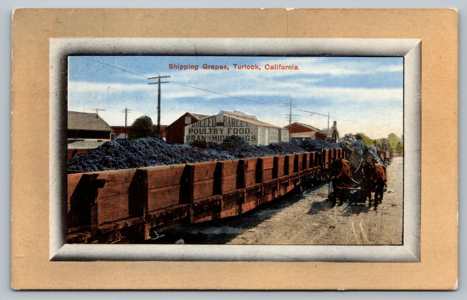 1910 Turlock California Shipping Grapes Vintage Postcard Agriculture Train