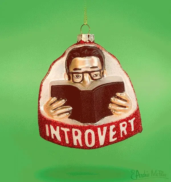Calm Spirit Introvert Ornament – Self‑Care Holiday Décor for Readers - Bookworm