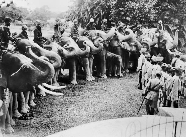 Elephants rising their trunk greet governor Bengal John ANDERSON a- 1933 Photo