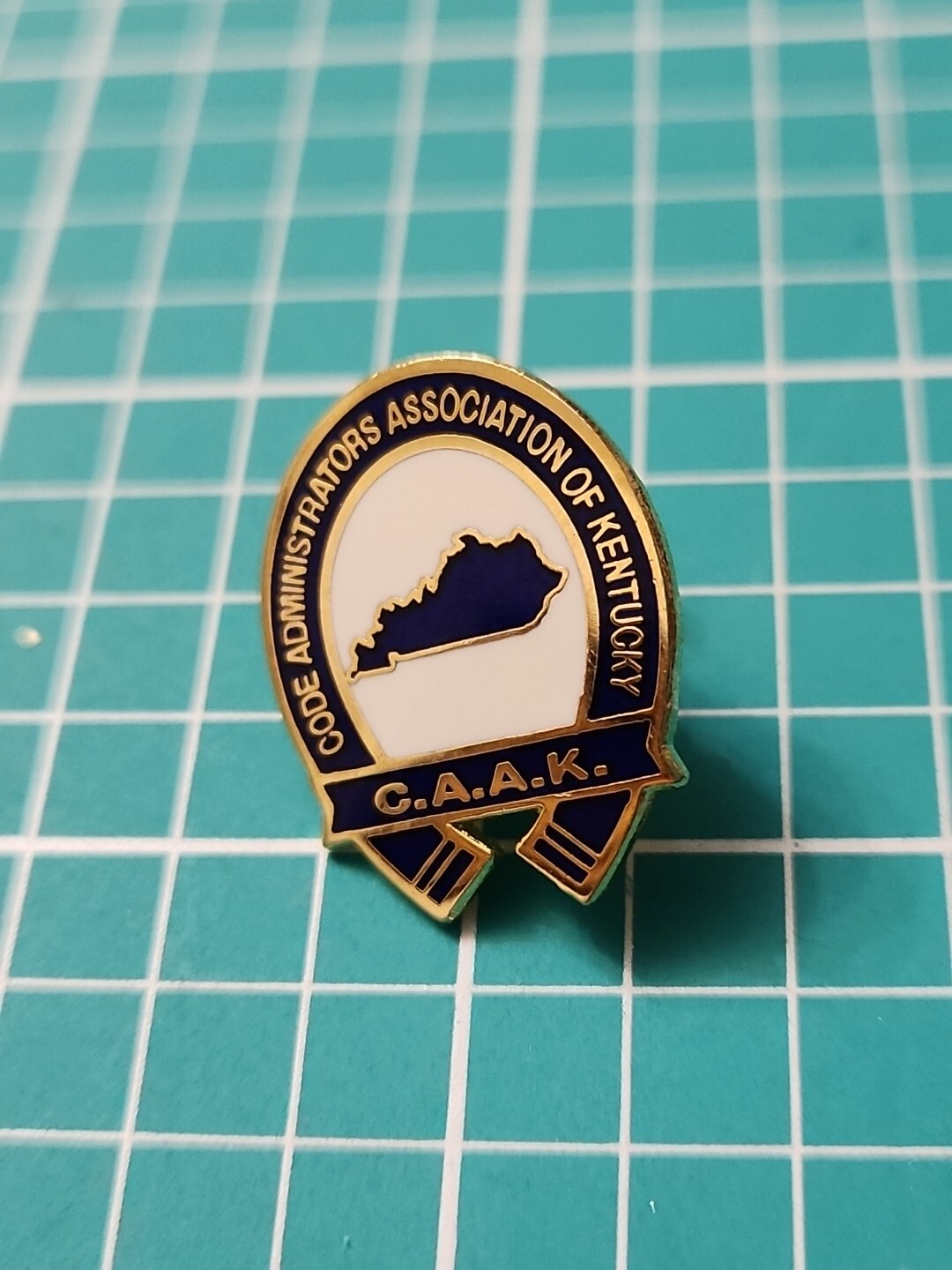 Vtg C.A.A.K. Code Administrators Association Of Kentucky Gold Tone Lapel Pin