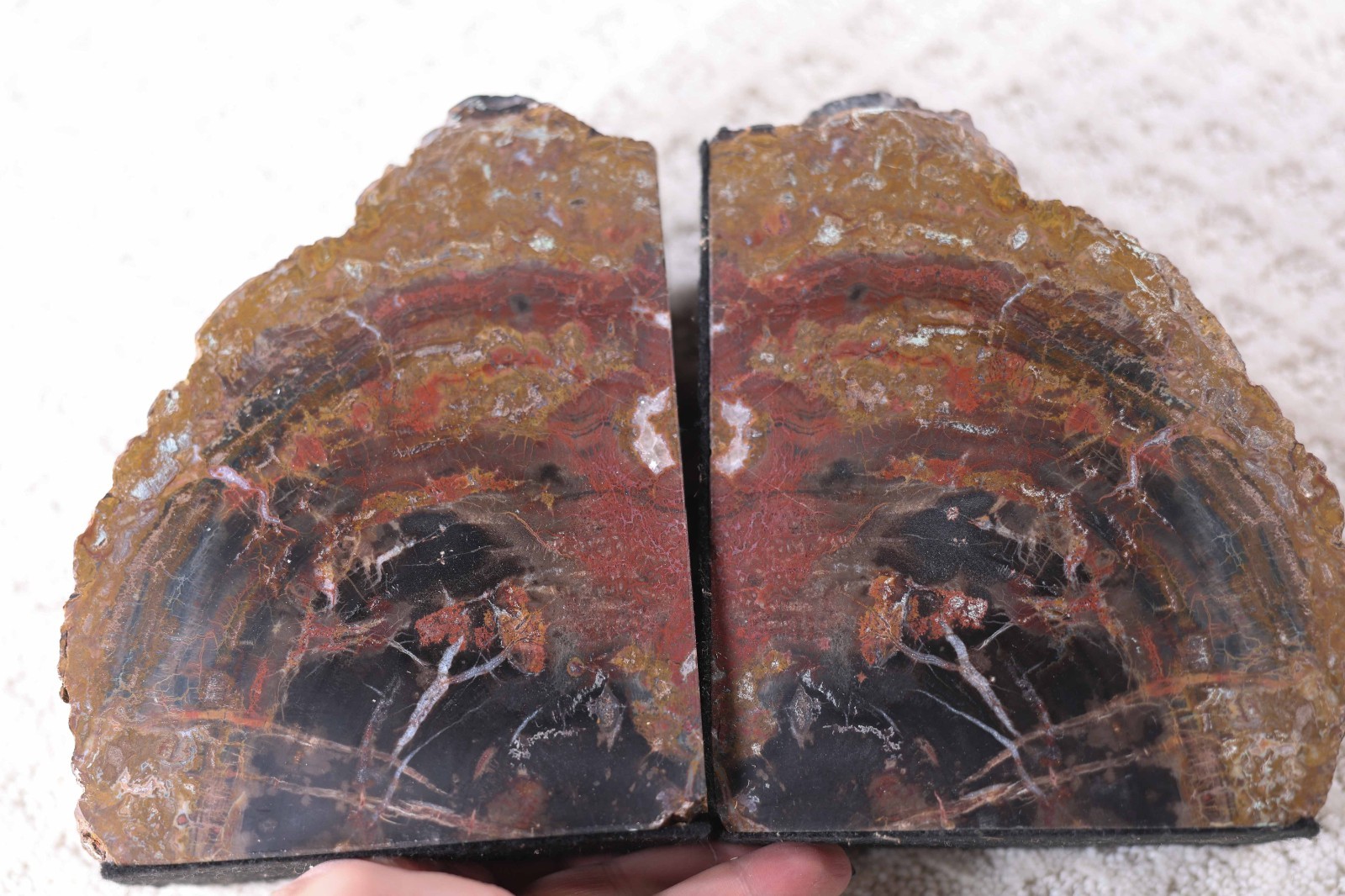 Stunning Vintage Arizona Rainbow Petrified Wood Bookends Mirror Bookmatched Pair