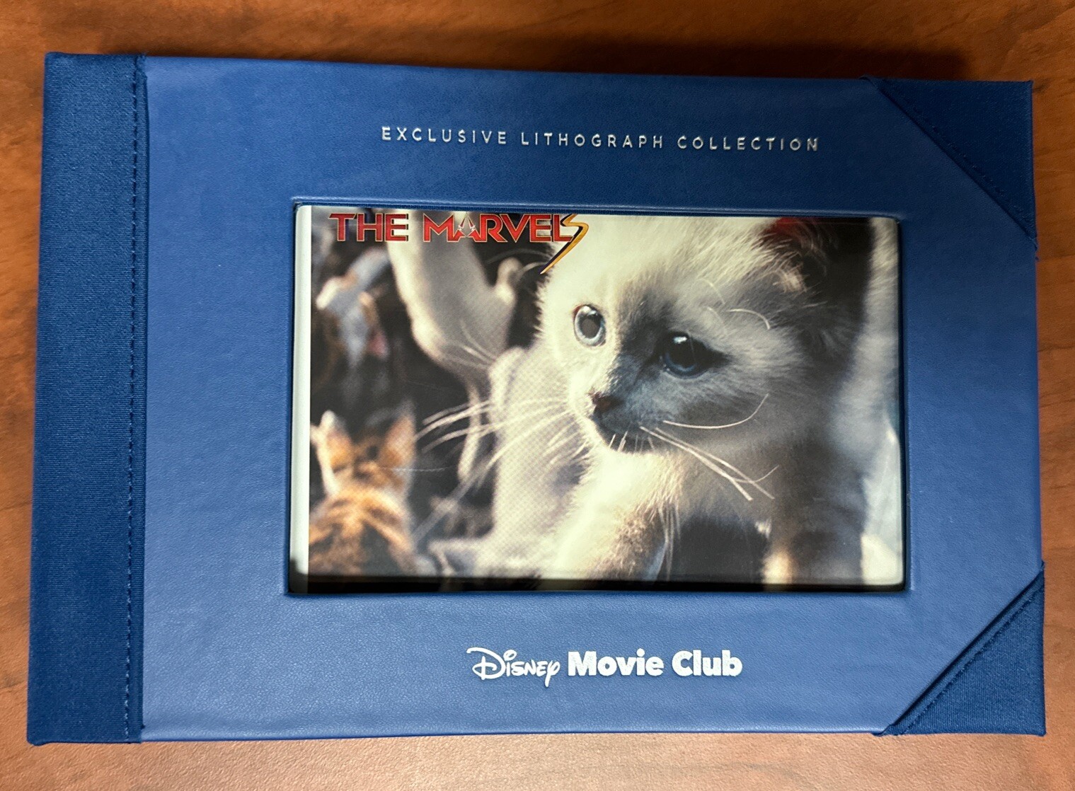 LOT #5: Disney Movie Club (DMC) Lithograph LOT (12) with Binder (Marvel)