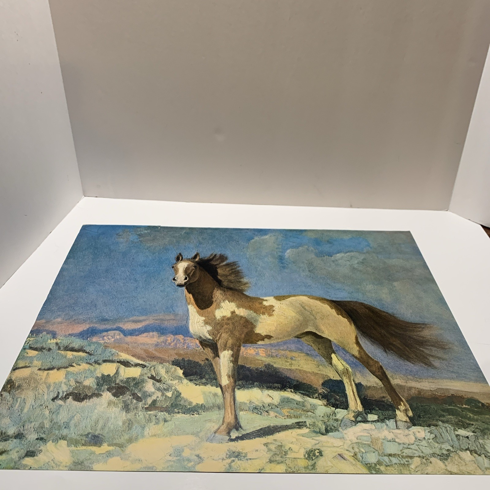 Vtg Robert Amick Freedom Stallion Horse Litho Print Western Landscape  20x16 in 