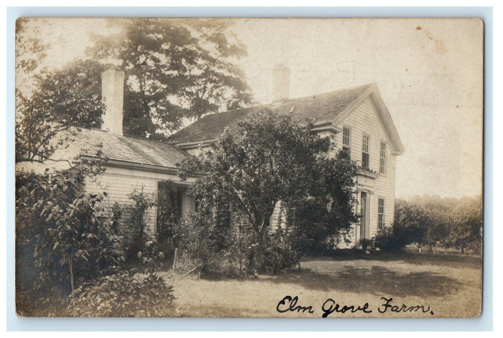 c1910\'s Elm Grove Farm Putnam Connecticut CT RPPC Photo Posted Antique Postcard
