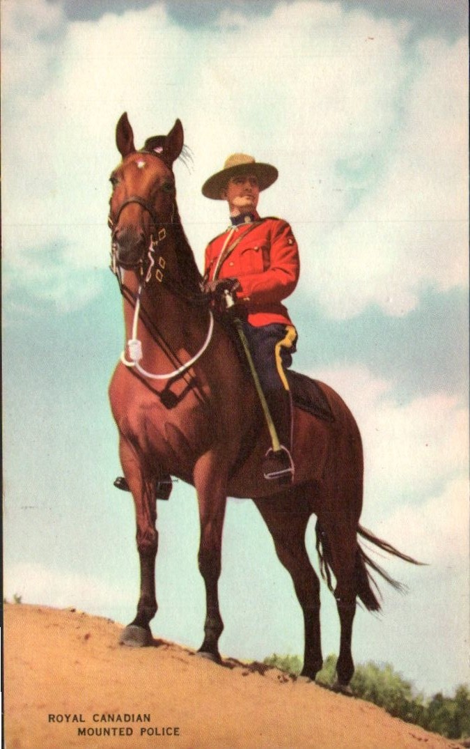 Royal Canadian Mounted Police - Mountie on Horse - Vintage Postcard - c 1948