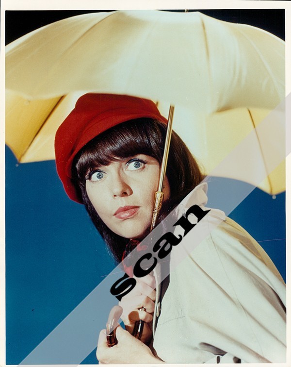 GET SMART TV Show Barbara Feldon 8X10 PHOTO #A192