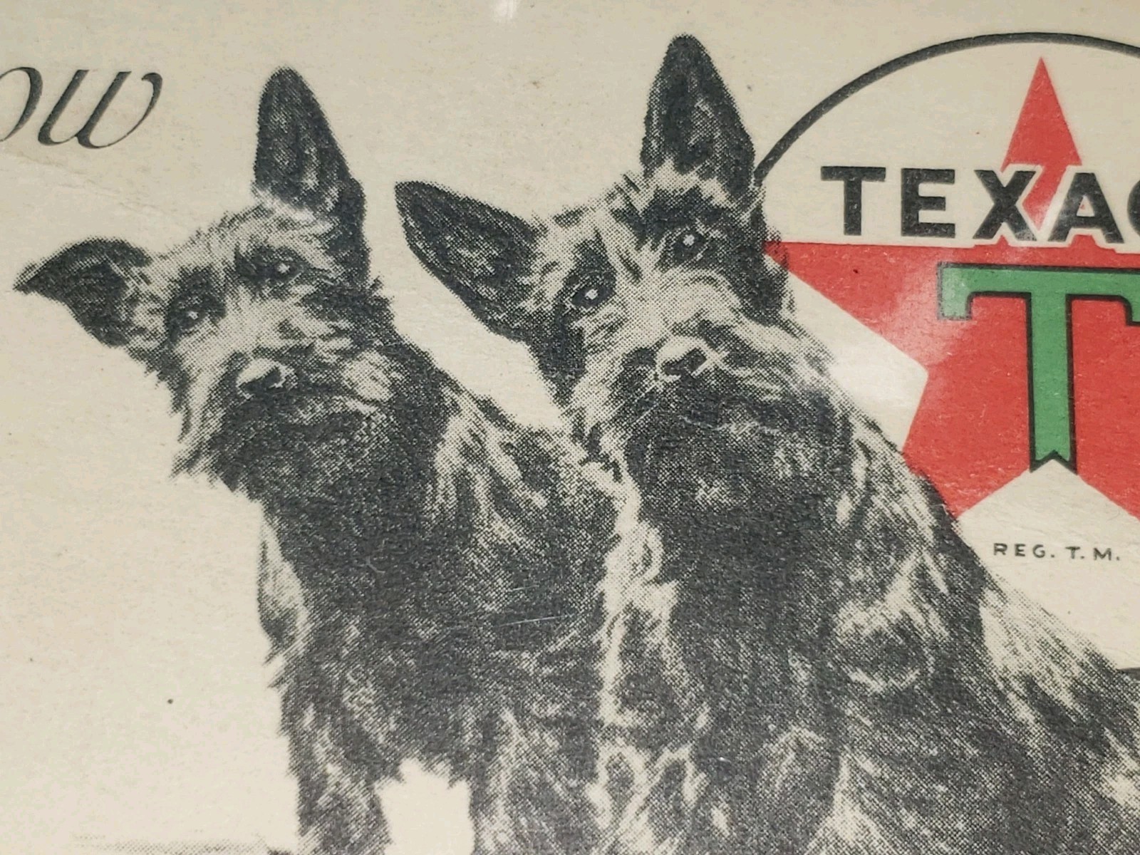 VINTAGE 1931 Texaco Scottie Dogs Advertising Postcard 1933 Indiana Postmark Mail