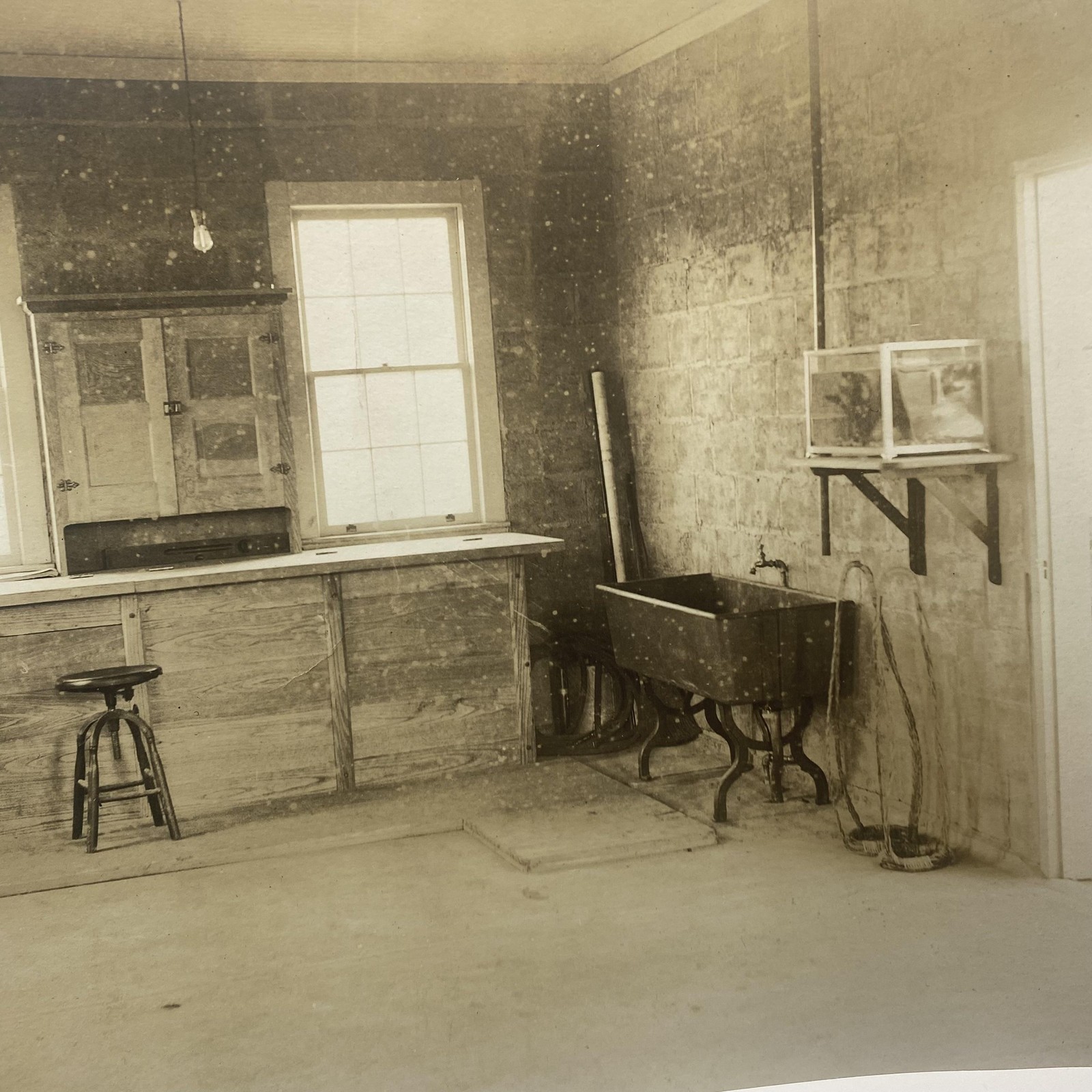 Vtg Early 1900s Greenhouse Office Room Interior Photo Sepia 6x8 Original